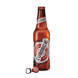 Tuborg Bira (Şişe)